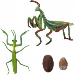 Figurines cycle de la mante