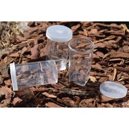 Flacon 25mL élevage petits arachnides