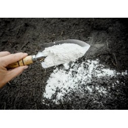 Carbonato di calcio 150g