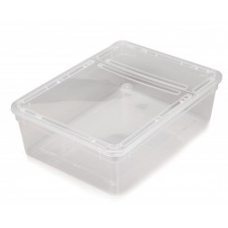 Braplast 3L Trasparente