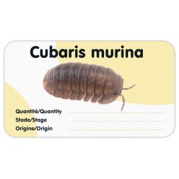 Isopod: Juego de 3 etiquetas autoadhesivas