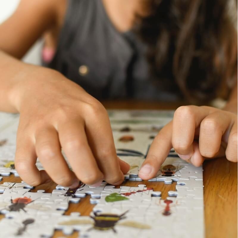 Puzzle éducatif sur les insectes - 500 pièces